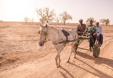 Ride The Gambia 2027